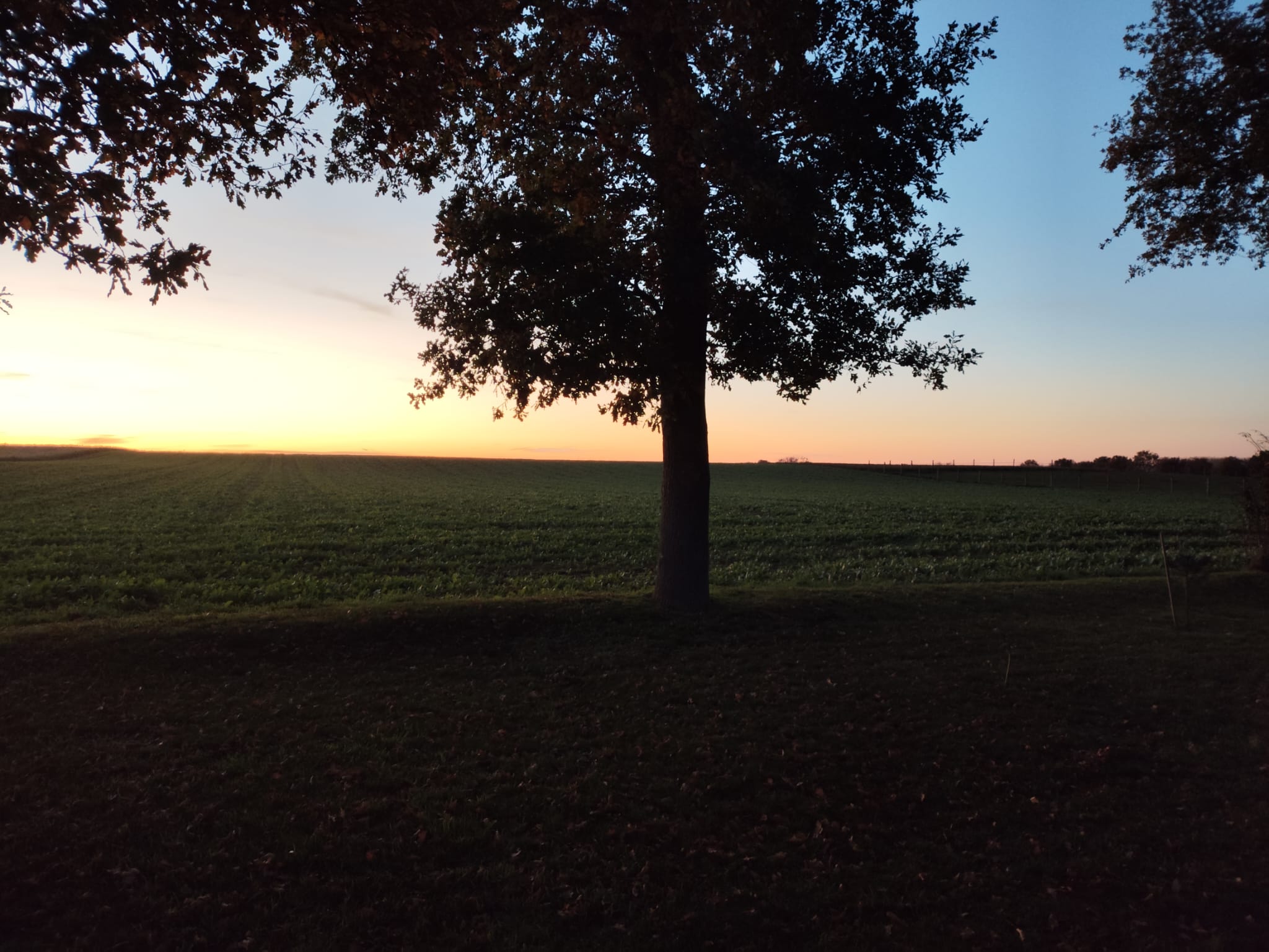 Afbeelding van WhatsApp op 2025-11-15 om 14.23.11_9e3186de